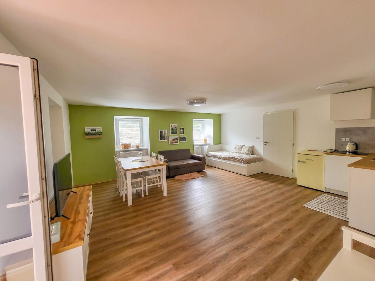 Apartmany U Kolacku Hartmanice  エクステリア 写真