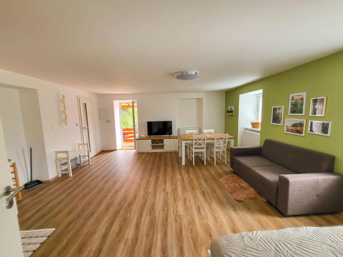 Apartmany U Kolacku Hartmanice  エクステリア 写真