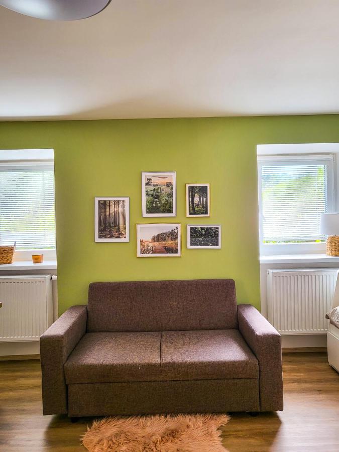 Apartmany U Kolacku Hartmanice  エクステリア 写真
